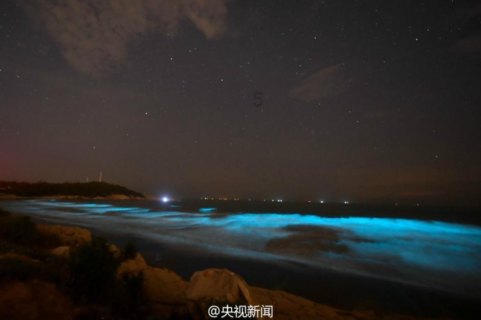 算术24点