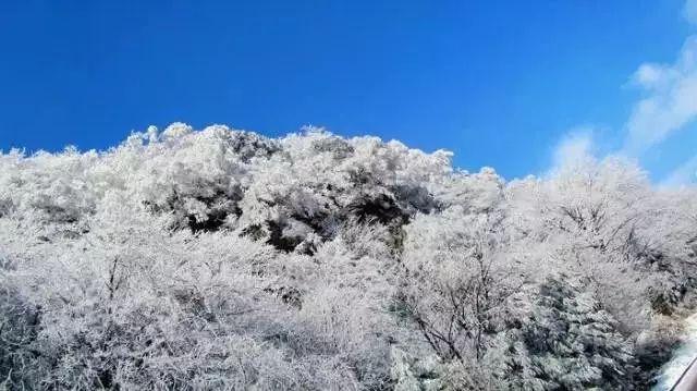 痛心！学校深夜起火，已致13人遇难……老师称遇难者均为三年级学生