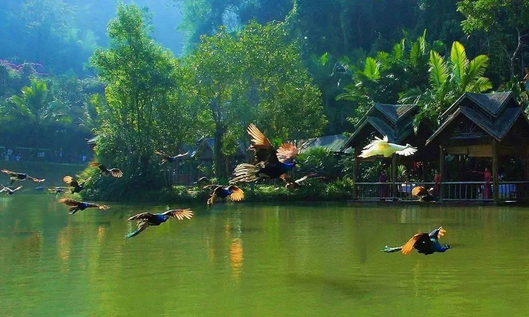 大神：绝景版
