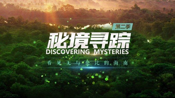 动物园将猫放置猴山灭鼠?关于“猴子虐猫”,昆明动物园刚刚最新回应