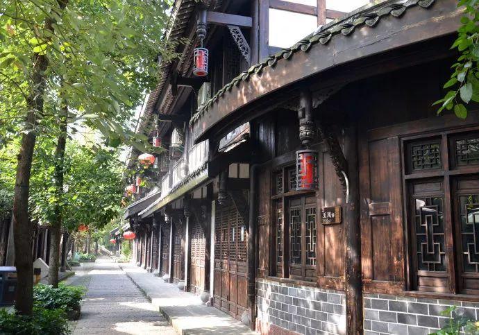猫猫冒险团