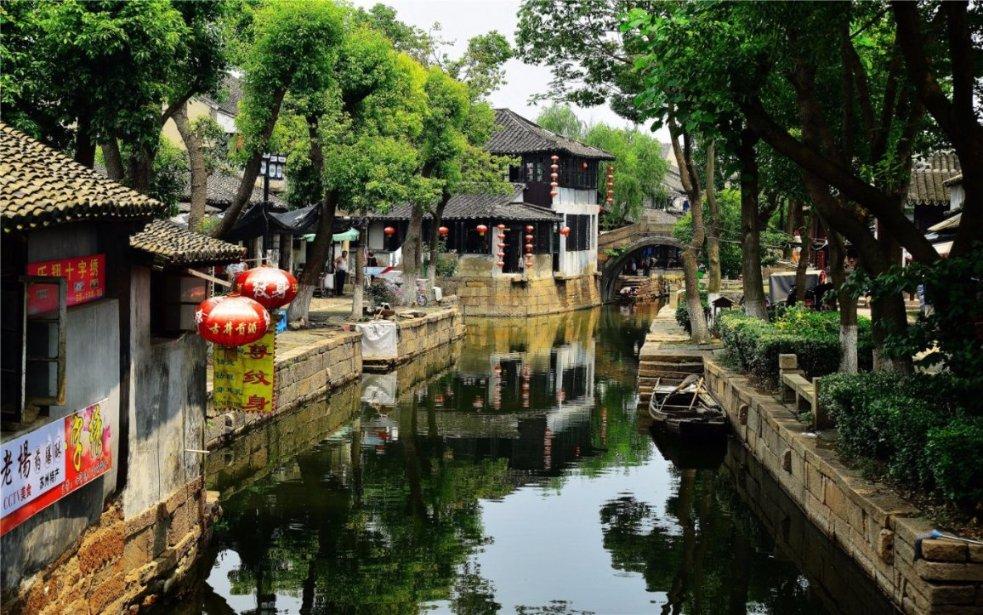救援可爱的洋葱