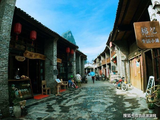 动物帮帮忙保卫家园